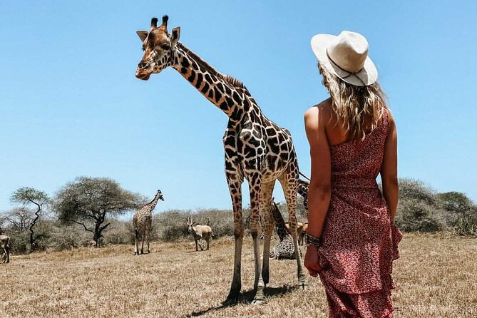 Nature Walk with Giraffes in Mombasa - Time to pause beside the animals