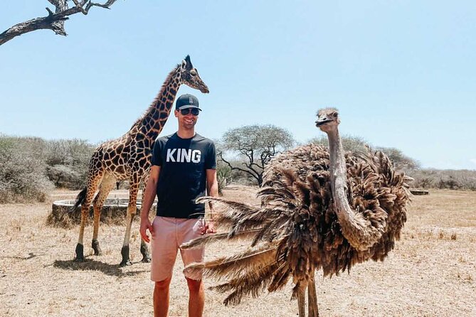 Nature Walk with Giraffes in Mombasa - Walking the route at your own pace