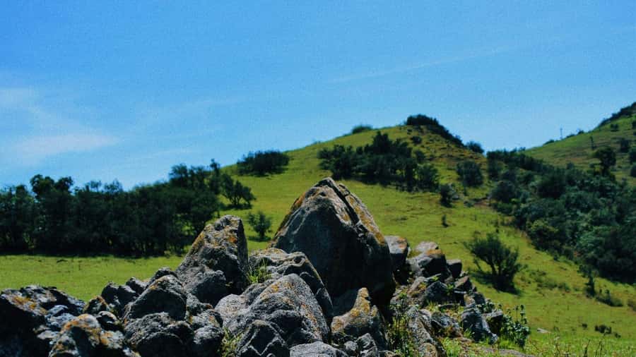 Ngong Hills: Private Hiking Tour - Three hours of walking through the hills