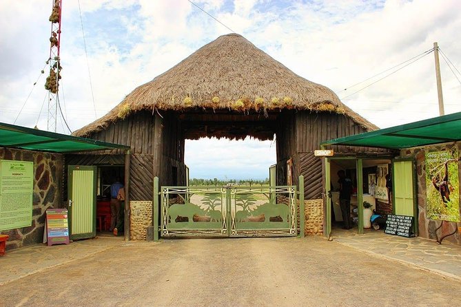 Ol Pejeta Conservancy Day Tour from Nairobi - The guide can make or break a long safari day