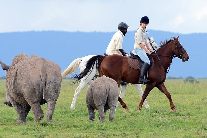 Ol Pejeta Conservancy Day Tour from Nairobi - Who should book this Ol Pejeta day tour?