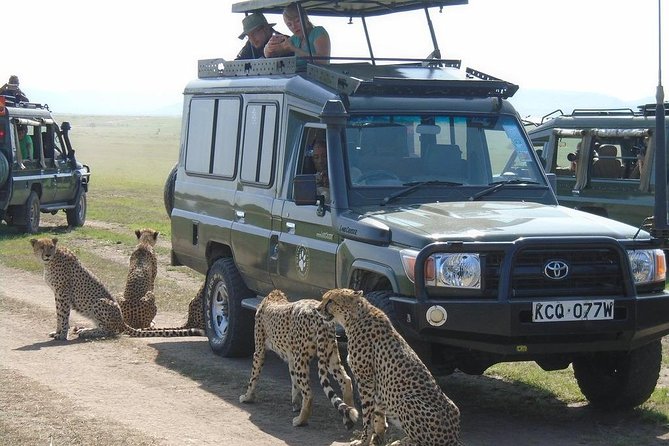 Olpejeta, Lake Naivasha, Masai Mara 5 Days Private Kenya Jeep tour - Why this route works for a short Kenya safari