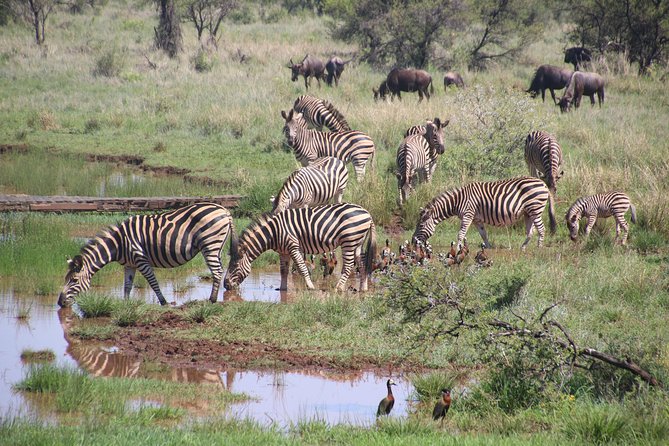 Olpejeta, Lake Naivasha, Masai Mara 5 Days Private Kenya Jeep tour - Day 5: Returning to Nairobi past Mount Longonot