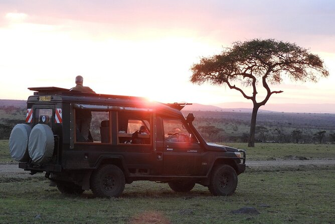 One Day Tour to Maasai Mara Game reserve from Nairobi - The wildebeest migration window