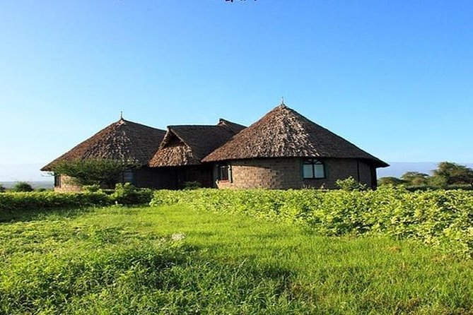 Overnight Amboseli National Park Safari from Nairobi - From Nairobi at 7 a.m. to Amboseli by lunch
