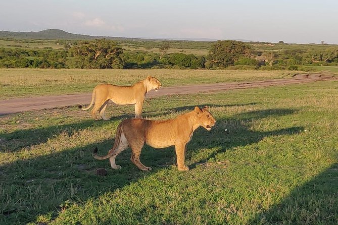 Overnight Amboseli National Park Safari from Nairobi - Day 2 begins with Observation Hill