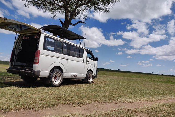 Overnight Amboseli National Park Safari from Nairobi - Who will get the most from this Amboseli trip