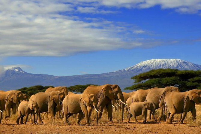Overnight Amboseli National Park Safari from Nairobi - The Nairobi pickup and the long road south