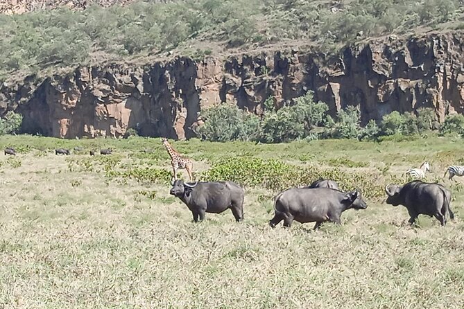 Overnight Mount Longonot and Hells Gate National Park From Nairobi - Walking through the gorges