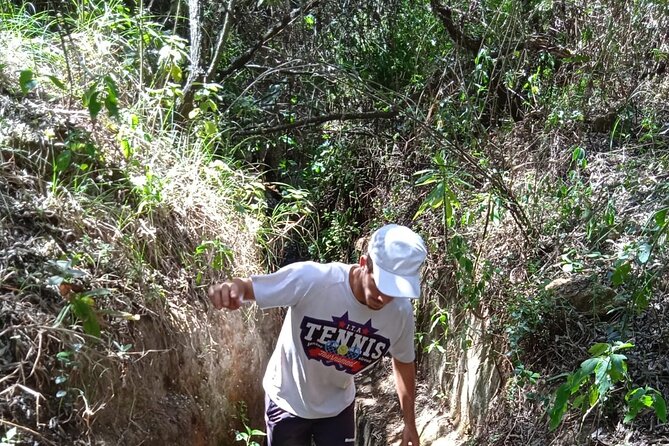 Overnight Mount Longonot and Hells Gate National Park From Nairobi - Picnic lunch, then the return to Nairobi