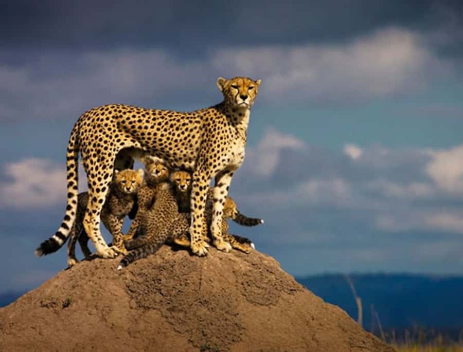 Overnight Private Safari To Masai Mara - The Great Rift Valley viewpoint stop