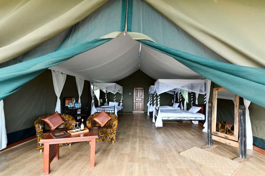 Overnight Private Safari To Masai Mara - The return to Nairobi and included meals