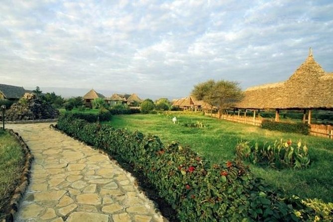 Overnight Safari to Amboseli National Park - The afternoon game drive: elephants, cats, and open views