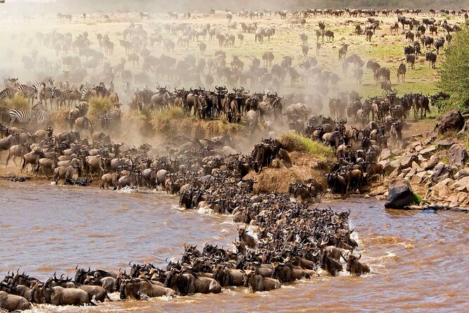 Overnight Safari To Maasai Mara - Arrival at Maasai Mara and the first game drive