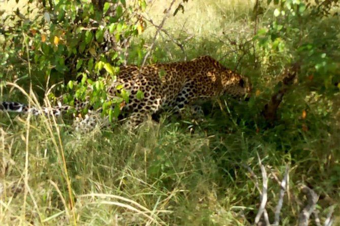 Overnight Safari To Maasai Mara - Sleeping at the safari camp