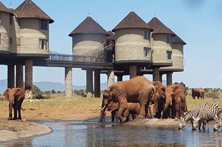 Overnight Safari to Saltlick through Tsavo East Park - Why Salt Lick Lodge makes this safari special