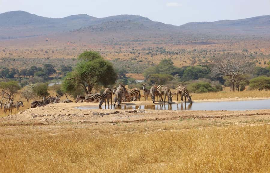 Overnight Safari to Saltlick through Tsavo East Park - Tsavo East through Bachuma Gate