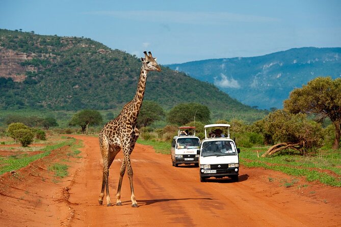 Overnight Safari to Tsavo East National Park from Mombasa/Diani - Why Tsavo East makes a good short safari from the coast