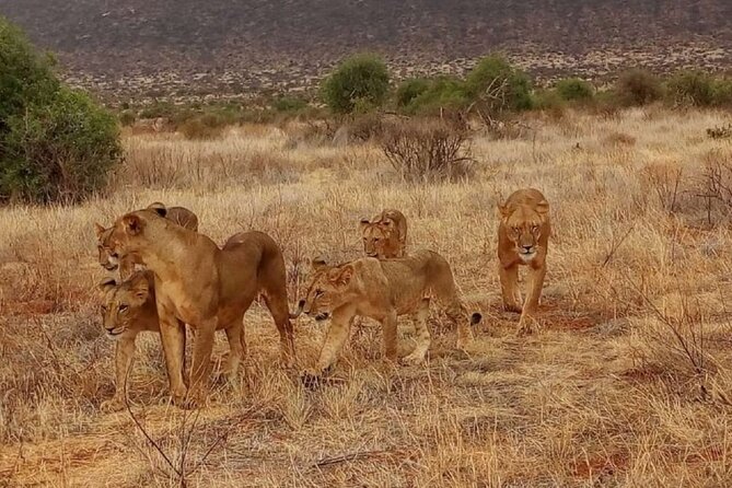 Overnight Safari to Tsavo East National Park from Mombasa/Diani - Bachuma Gate and the first game drive