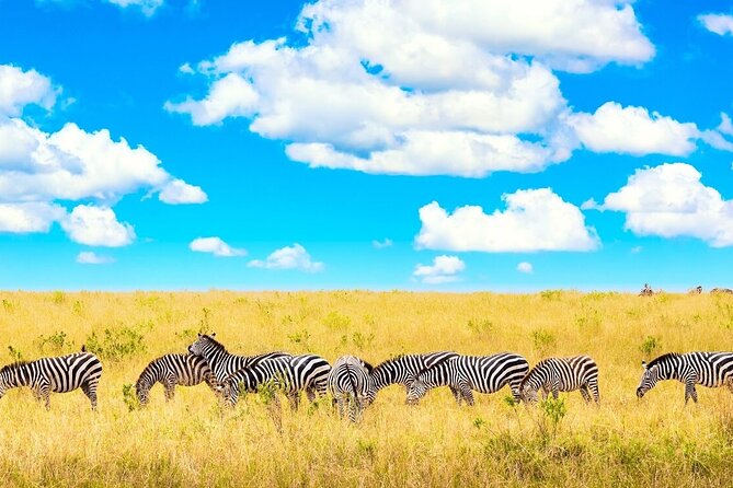 Overnight Tour in Amboseli National Park from Nairobi - Leaving Nairobi at 7:30 in the morning