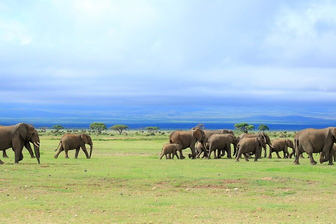 Overnight Tour in Amboseli National Park from Nairobi - Sunrise at the lodge and an early look at Kilimanjaro