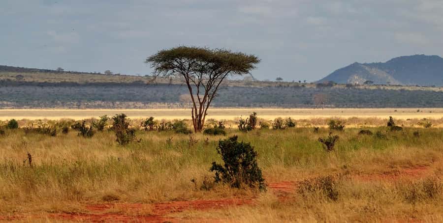 Overnight Tsavo East Safari From Mombasa/Diani (Private) - Key points to know before booking