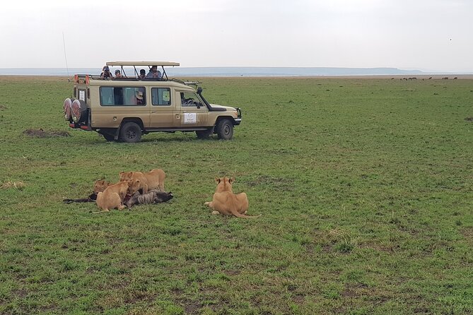 Private 5 Day Maasai Mara with Lake Nakuru and Lake Naivasha Tour - Day 3: From big cats to white rhinos at Lake Nakuru