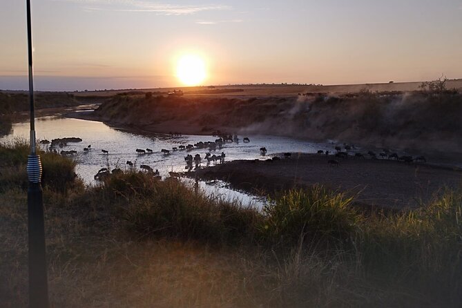 Private 5 Day Maasai Mara with Lake Nakuru and Lake Naivasha Tour - Day 4: Hippos and fish eagles on Lake Naivasha