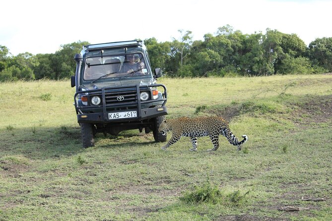 Private 7 Days Kenya Safari Amboseli, Naivasha, Nakuru, Mara - Day 7: Returning to Nairobi and lunch at Carnivore