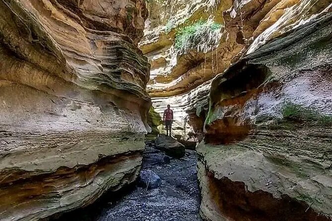 Private Day tour to Hell's Gate National Park and Lake Naivasha - Lake Naivashas one-hour boat ride