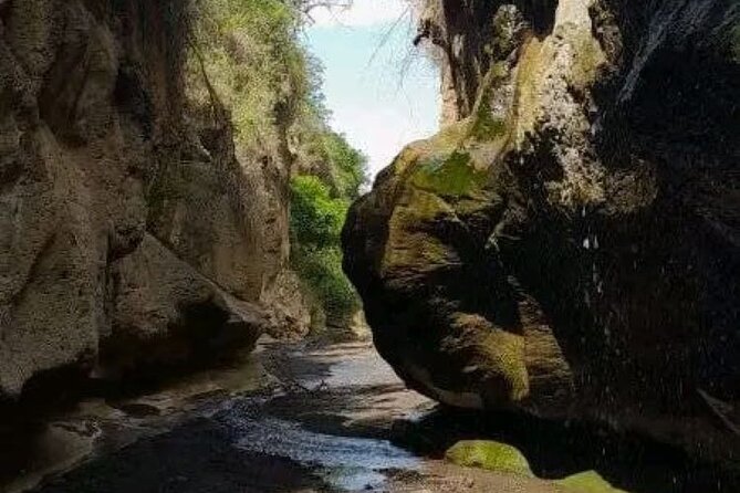 Private Day tour to Hell's Gate National Park and Lake Naivasha - What the $115 price really covers
