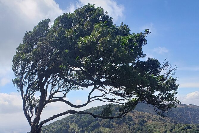 Private Half Day Hike to Ngong Hills from Nairobi - Seven hills and a 12-kilometer workout