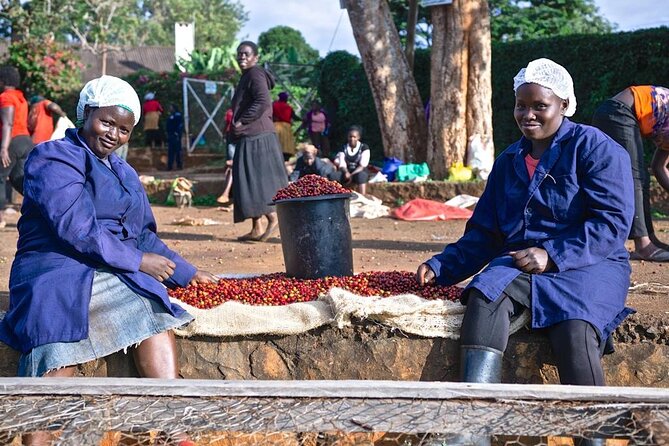 Private Half-Day Tour in Fairview Coffee Farm from Nairobi - Arriving at the estate and getting oriented