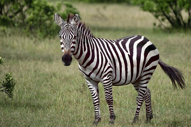Private Hell's Gate Adventure Tour - Cycling among zebras, antelopes, and cliffs
