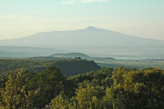 Private Hiking Day Trip to Mt. Longonot from Nairobi - Climbing through Mt. Longonot National Park
