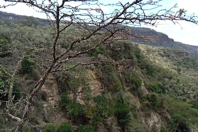 Private Hiking Day Trip to Mt. Longonot from Nairobi - Reaching the crater rim at 2,560 meters