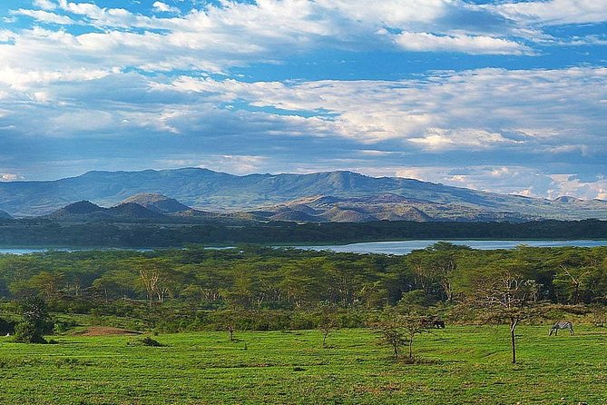 Private Layover Tour to Hells Gate National park with Optional Boat Ride - The real cost at $90 per person