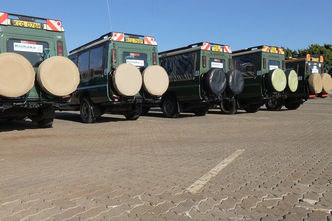 Private Mini Safari Tour in Nairobi - How the private format changes the experience