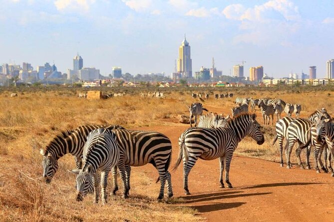 Private Nairobi National Park Day Tour - Nairobi National Park with skyscrapers in the distance