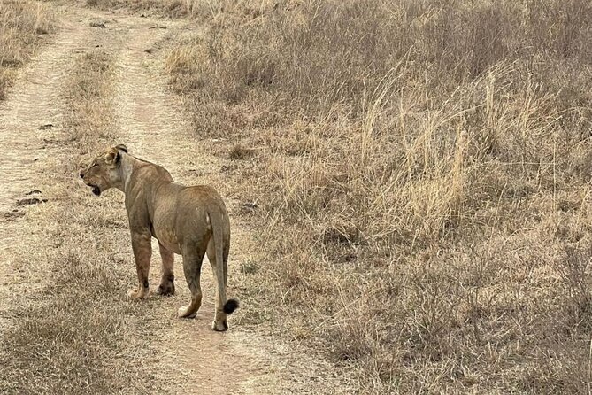 Private Nairobi National Park Day Tour - Families, photographers, and short-stay visitors