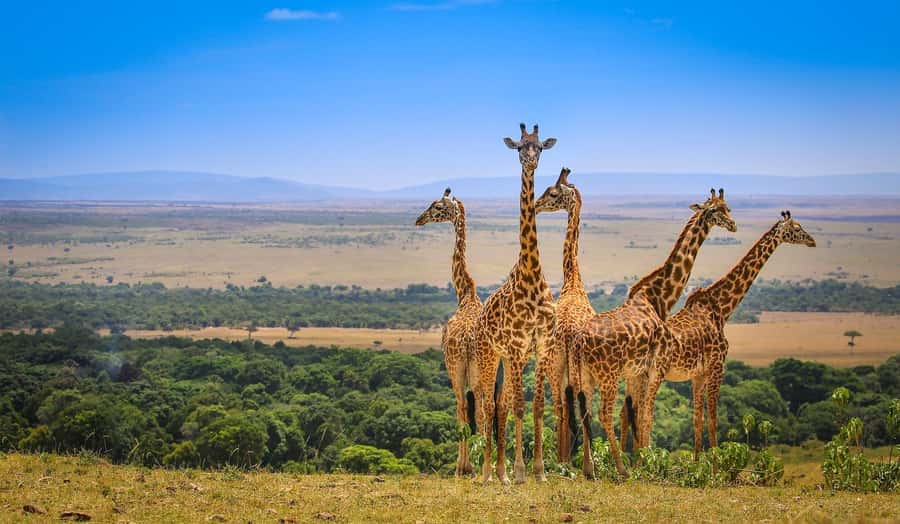 Private Safari Day-Tour in Amboseli National Park - Key points to know before booking