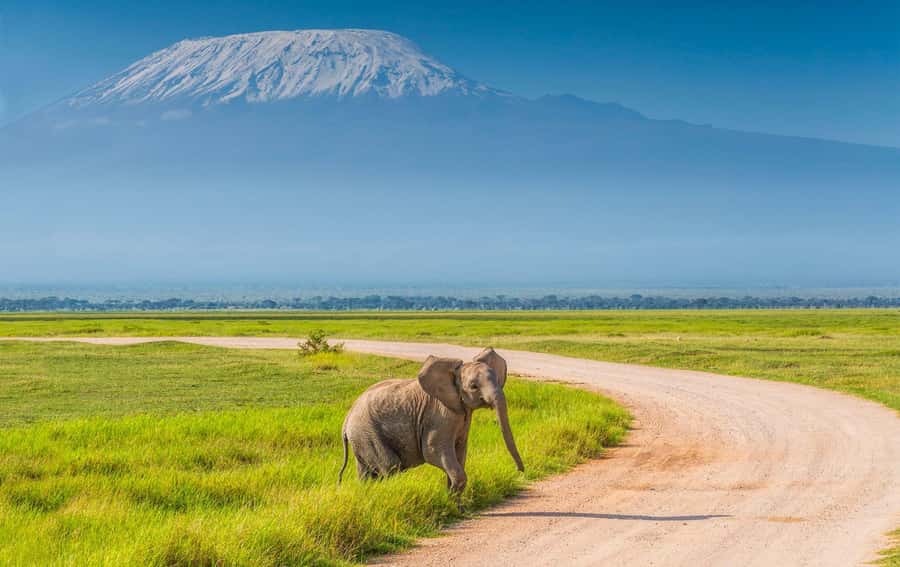 Private Tour to Amboseli National Park - Key points to know before booking