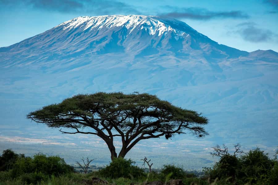 Private Tour to Amboseli National Park - Why Amboseli works as a long day from Nairobi