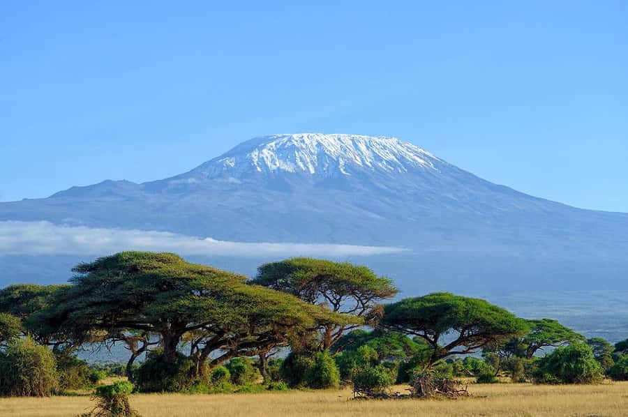 Private Tour to Amboseli National Park - Crossing Maasai country at sunrise