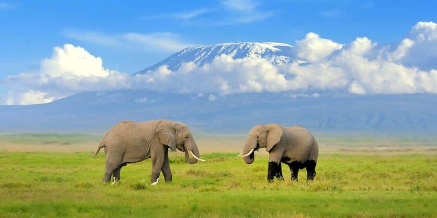 Private Tour to Amboseli National Park - Mount Kilimanjaro and the Amboseli Eco-system