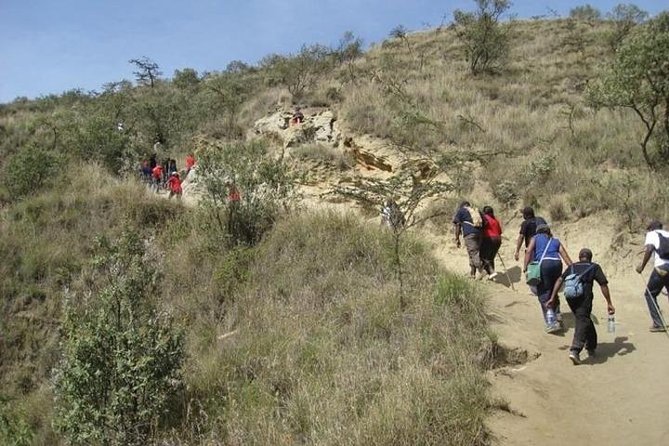 Private Tour to Mount Longonot and Optional Boat Ride on Lake Naivasha - Who should book this Nairobi day trip?
