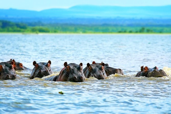Private Tour to Mount Longonot and Optional Boat Ride on Lake Naivasha - From the volcano to Lake Naivasha