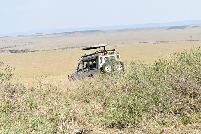 Private Transfer from Nairobi Airport or city To Maasai Mara By Road - Adding a game drive to the transfer