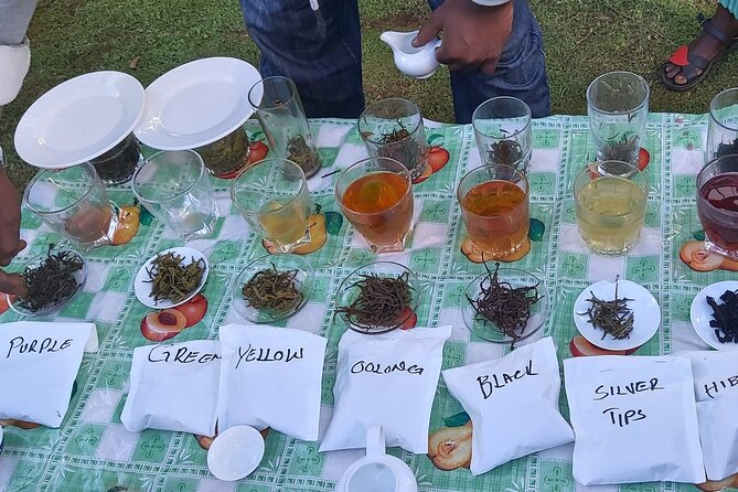Purple Tea Farm Tour from Nairobi City - Specialty Tea Tasting - A nature trail that ends at a waterfall
