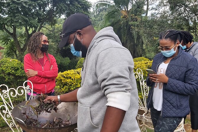 Purple Tea Farm Tour from Nairobi City - Specialty Tea Tasting - Three courses and a serious tea tasting